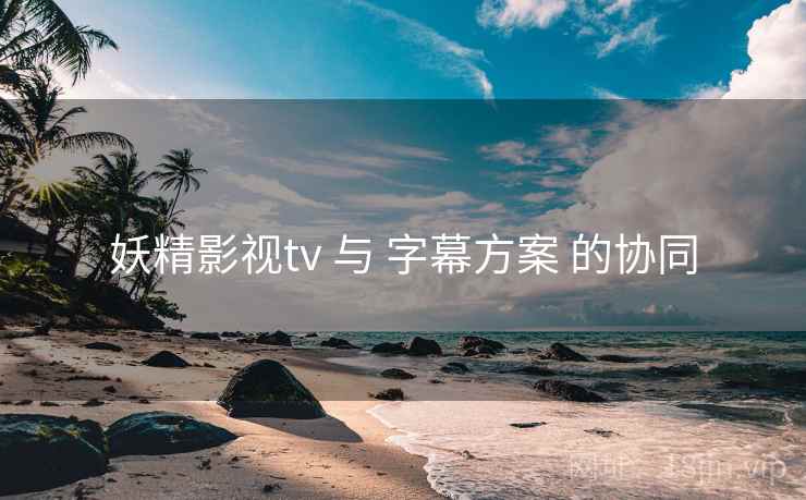 妖精影视tv 与 字幕方案 的协同