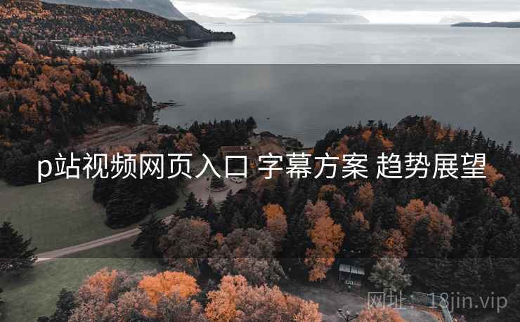 p站视频网页入口 字幕方案 趋势展望