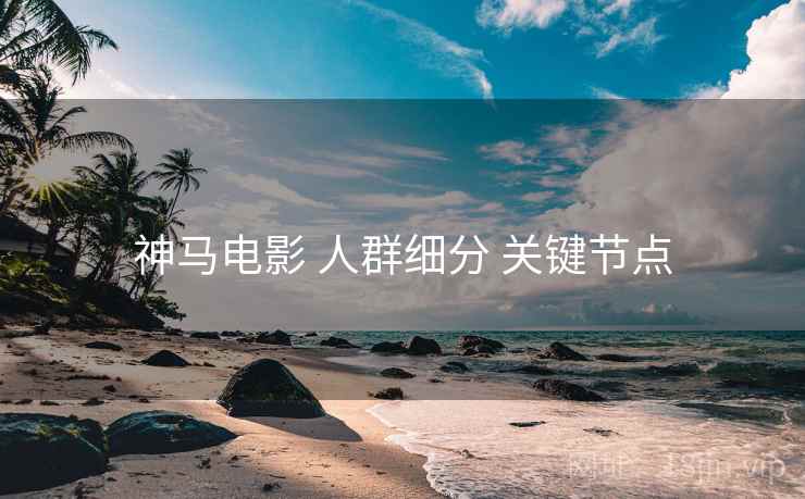 神马电影 人群细分 关键节点