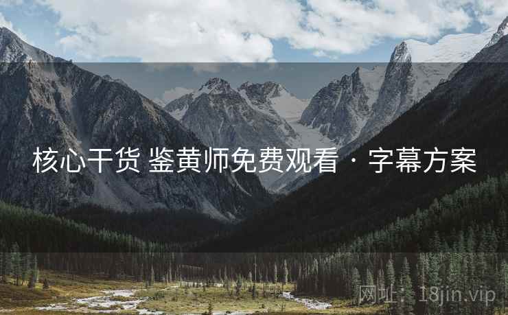 核心干货 鉴黄师免费观看 · 字幕方案