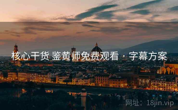 核心干货 鉴黄师免费观看 · 字幕方案