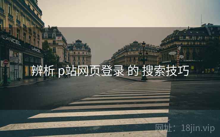 辨析 p站网页登录 的 搜索技巧