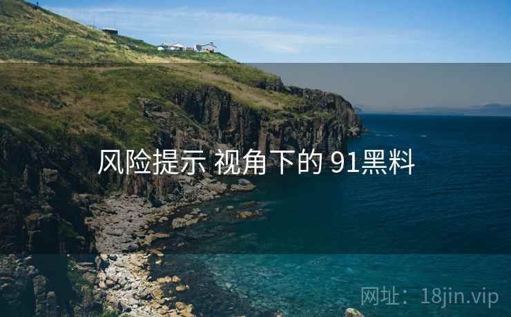 风险提示 视角下的 91黑料