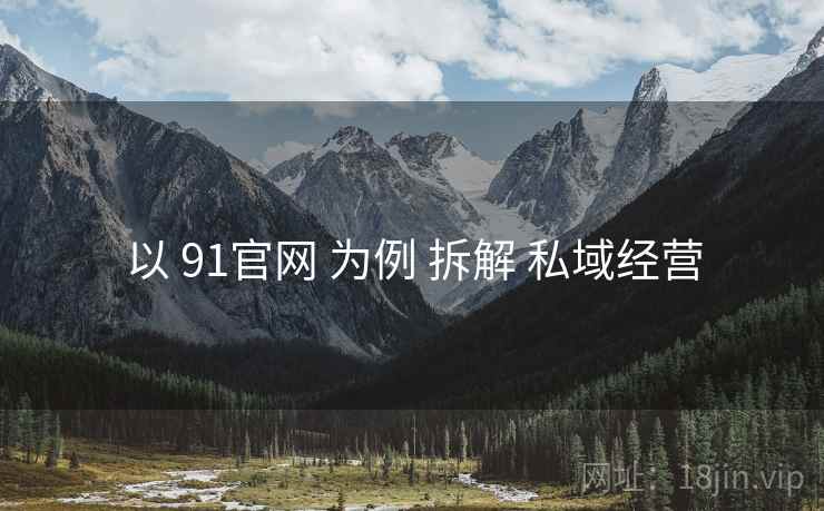 以 91官网 为例 拆解 私域经营