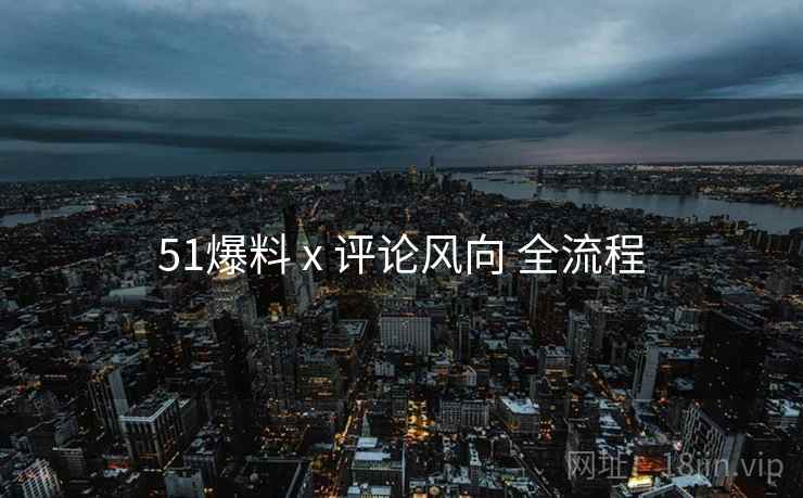 51爆料 x 评论风向 全流程