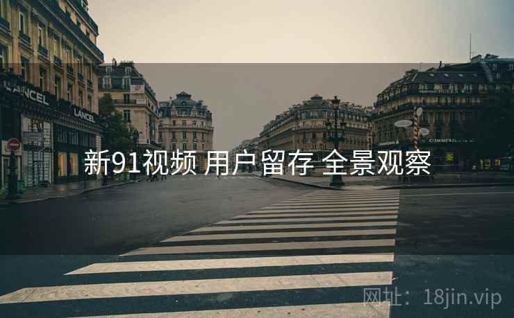 新91视频 用户留存 全景观察