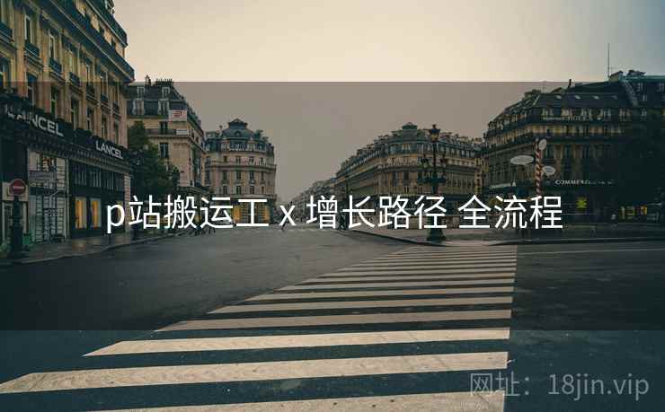 p站搬运工 x 增长路径 全流程
