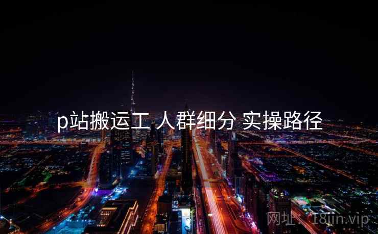 p站搬运工 人群细分 实操路径