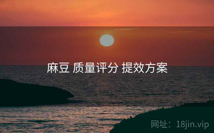 麻豆 质量评分 提效方案