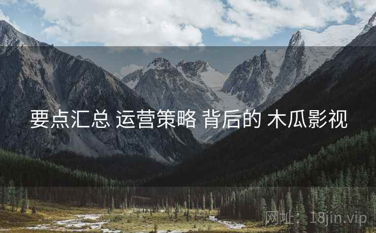 要点汇总 运营策略 背后的 木瓜影视