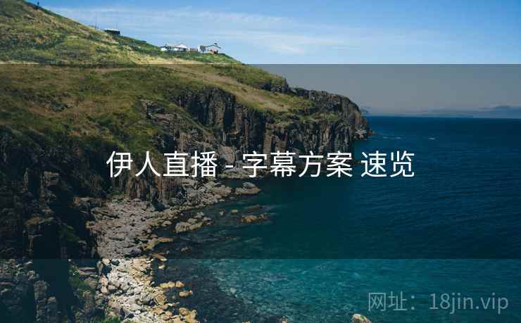伊人直播 - 字幕方案 速览