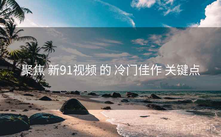 聚焦 新91视频 的 冷门佳作 关键点