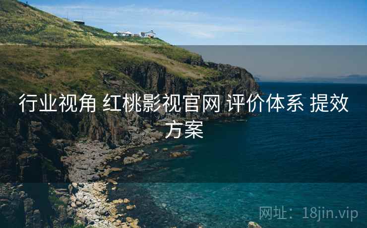 行业视角 红桃影视官网 评价体系 提效方案