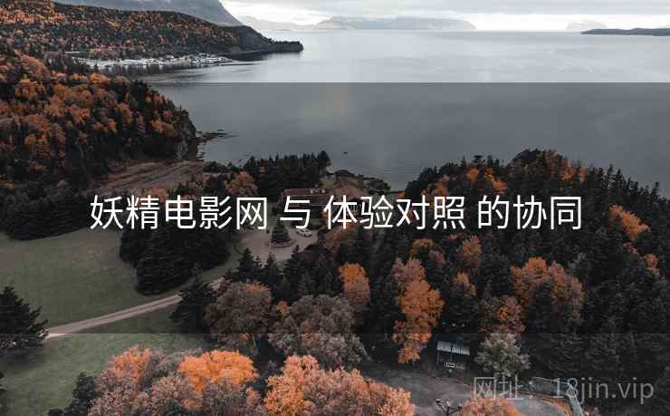 妖精电影网 与 体验对照 的协同