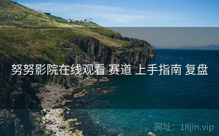 努努影院在线观看 赛道 上手指南 复盘