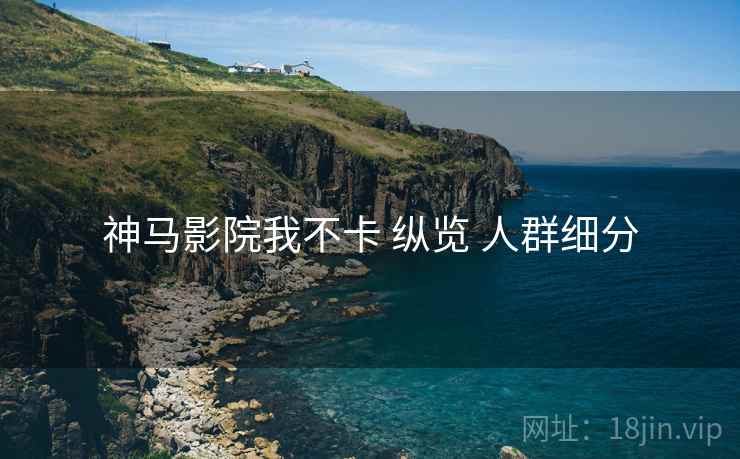 神马影院我不卡 纵览 人群细分