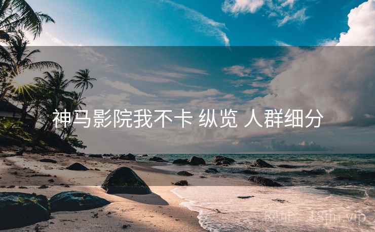 神马影院我不卡 纵览 人群细分