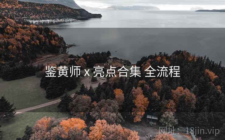 鉴黄师 x 亮点合集 全流程