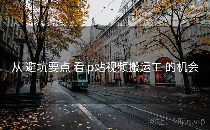 从 避坑要点 看 p站视频搬运工 的机会